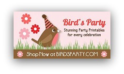 Bird's Party Book Review