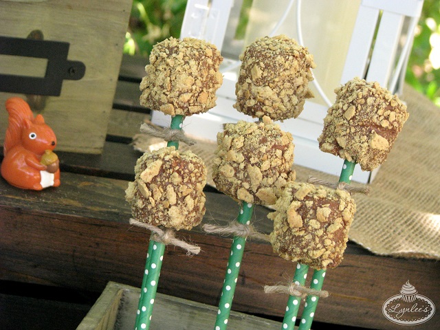 Girl Scout S'mores Campfire Pops tutorial
